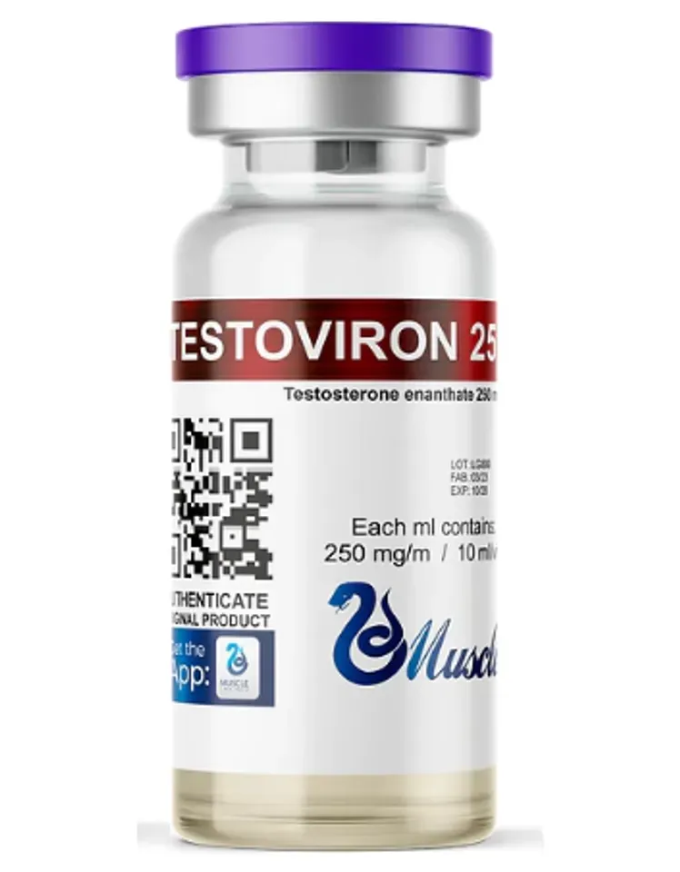 Enantato Testosterona Muscle Pharma 250mg/10ml